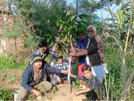 प्रथम महिला शिक्षिका एवं समाज सुधारक सावित्री बाई फुले के जन्मदिन पर वृक्षारोपण